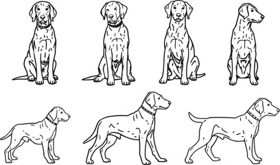 Dog Line Art Collection – Puppy Sitting, Canine Vector, Hand Drawn Dog, Pet Illustration, Dog Sketch, Cute Pet, Dog Standing, Puppy Outline, Line Drawing, Animal Vector, Pet Artwork, Puppy Pose, Dog C