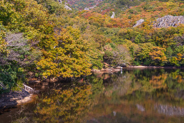 Obraz premium 日本の風景・秋 香川県小豆島 紅葉の寒霞渓 猪口池
