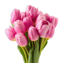 Fototapeta premium Close-up of a bouquet of vibrant pink tulips