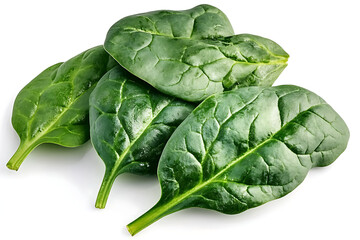Obraz premium fresh spinach on white background