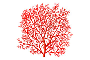vector cartoon Red Gorgonian or red sea fan coral.  Clip art isolated on transparent background.