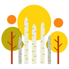 Birch trees in a forest with a yellow sun vector on white background.