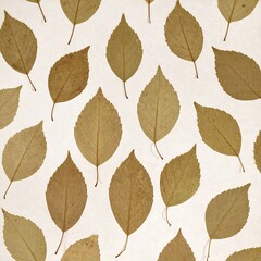 Fototapeta premium Dried leaves arranged on a light background