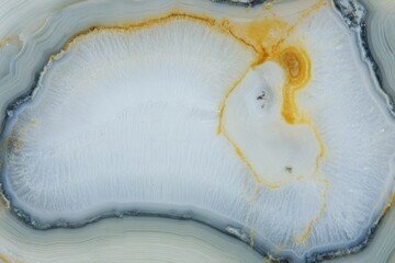 Polished agate slice shows intricate, concentric banding patterns in shades of grey, white, and yellow