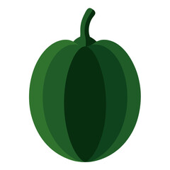 Dark green kabocha squash with a short stem vector on white background.