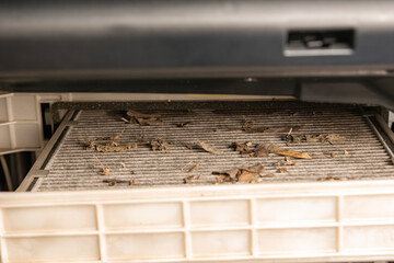Car Cabin Air Filter Covered in Dust and Leaves After Seasonal Driving