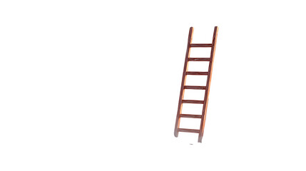 ladder to success