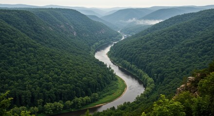 Fototapeta premium Serpentine River Winding Through Lush Green Mountains