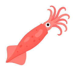Obraz premium Squid Flat Illustration
