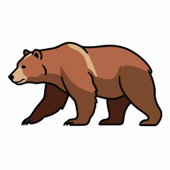 brown bear vector