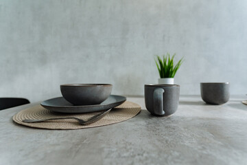 This setup offers a Contemporary Minimalist Dining experience with stylish grey tableware and a lovely indoor plant, creating an inviting and elegant atmosphere for any occasion