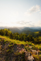 Hiking on Skalna alpa near smrekovica in Great Fatra. Hiking in Slovakia mountains landscape. Velka Fatra national park, Slovakia