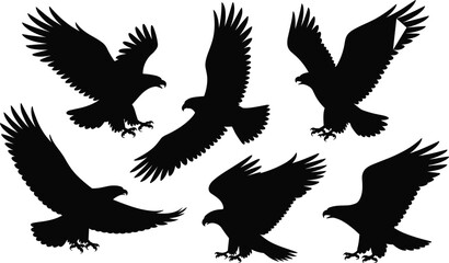 Eagle Silhouette Vector Collection of Flying and Hunting Birds of Prey for Wildlife Design, Logo, Tattoo, and Education Use