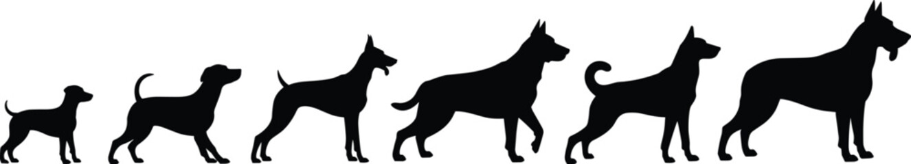 Dog Size Evolution Silhouettes – Small to Large Dog Vector Clipart, Pet Growth Comparison for Design, Decor, and Crafts