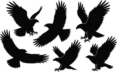 Eagle Silhouette Vector Set with Aggressive Flying Raptors for Logo Design, Wildlife Art, Tattoos, and Educational Illustrations