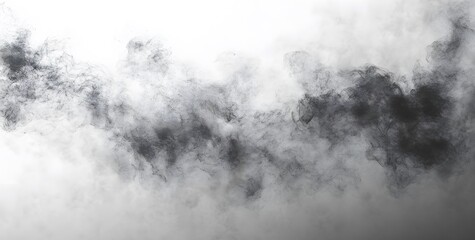 Fototapeta premium Abstract black smoke on white background creating dynamic artistic pattern