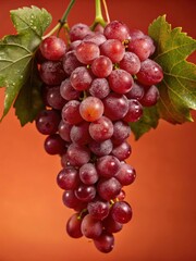Fototapeta premium A group of ripe purple grapes hanging from a lush green vine cluster with dew drops on the leaves