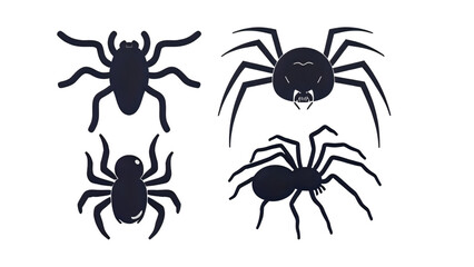 spider on a white background