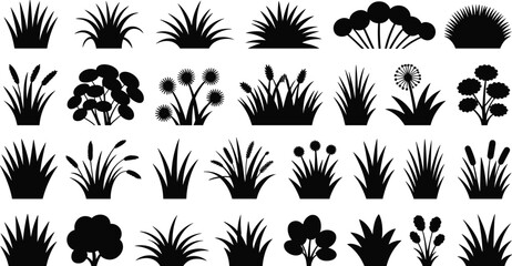 Grass and Foliage Silhouette Set, Bushes and Plants for Garden Decor, Landscape Design, Nature Clipart, and Botany Projects