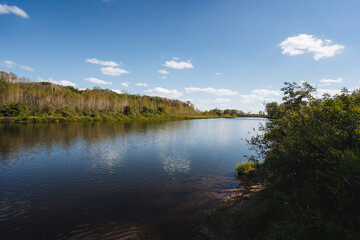 A serene river landscape under clear blue skies, blending lush flora and vibrant greenery. This idyllic spot offers relaxation by the water, making it a perfect summer getaway to connect with nature