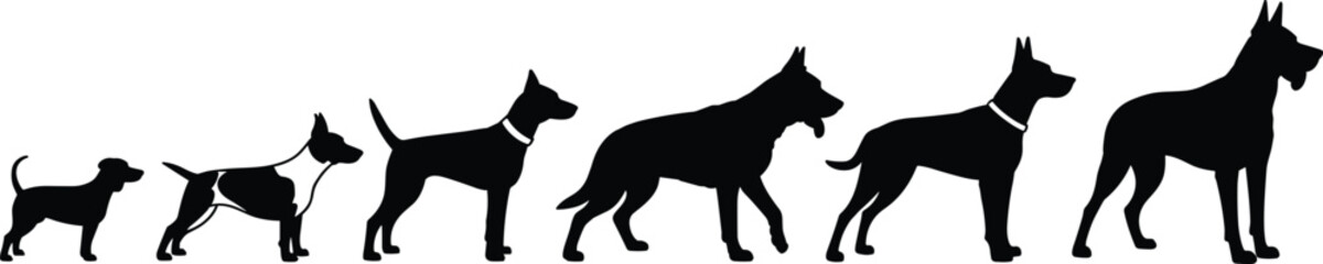 Growing Dog Silhouettes Walking in Line – Evolution of Dog Sizes, Pet Clipart, Animal Vector Art for Design and Decor