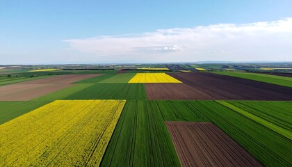 Obraz premium Aerial View of Diverse Agricultural Fields Under a Blue Sky