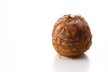 里芋１個　白バック