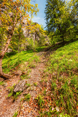 Hiking in Canyon in Prosiecka Valley near Kvacianska valley in Liptov region in northern Slovakia