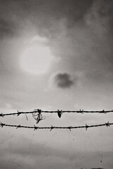 한국의 섬, 제부도의 풍경