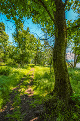 Hiking view from hill Badacsony, the highest mountain in the Tapolca basin near Lake Balaton near Badacsonytomaj.