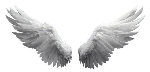 Pair of white angel wings