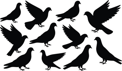 Set of black pigeon silhouettes in different flying and standing poses, bird icons, peaceful dove shapes, wildlife vector collection.