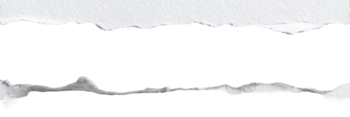 Ripped Paper Section