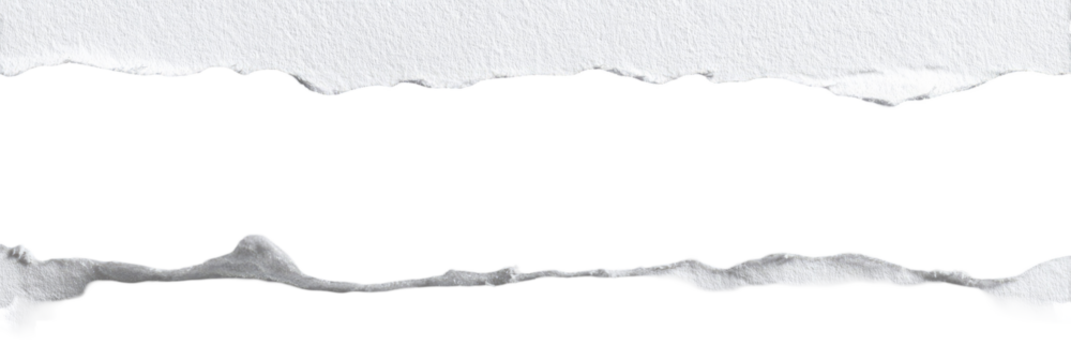 Ripped Paper Section