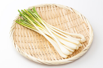 笊に乗ったエシャレット　白バック