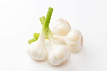 ニンニク　白バック