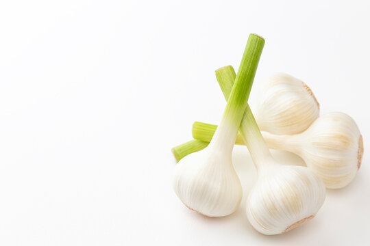 にんにく　白バック