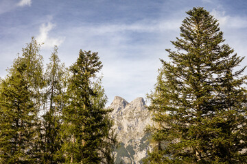 Fotowalk - Werfenweng - Salzburg - Austria