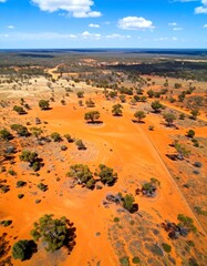 High-angle view of a vast, orange-hued landscape dotted with scrubby trees and a winding track.