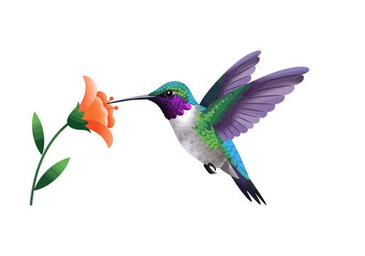 A hummingbird drinks nectar from an orange flower in this vivid stylized illustration