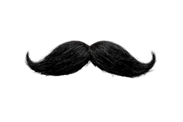 A thick, dark mustache, full and curly, against a black background
