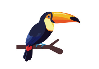 Toucan is perched on a branch with its yellow beak