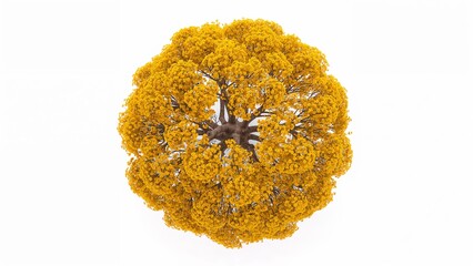 Aerial View of Vibrant Yellow Tree