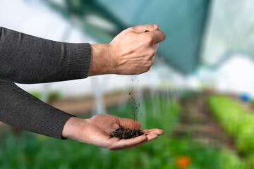 Soil in human hands for agriculture concept.