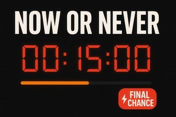 NOW OR NEVER with 00:15:00 countdown timer and FINAL CHANCE banner, bold digital style, urgent retail promotion offer.