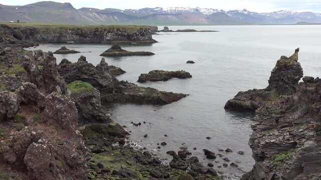 Lava Field Near Hellnar and Arnarstapi, Sn&aelig;fellsnes Peninsula, Iceland