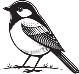Obraz premium Black and white illustration of a small bird on the ground