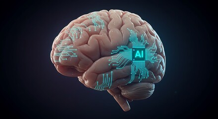 Conceptual illustration of a human brain with an integrated AI microprocessor, symbolizing the fusion of biology and technology