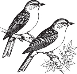 Two small birds perched on branches with leaves pair