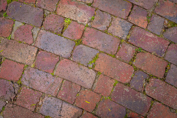 Old brick paving with small green plants and moss growing in the gaps. Rustic, weathered texture perfect for backgrounds, design projects, presentations, and creative concepts.